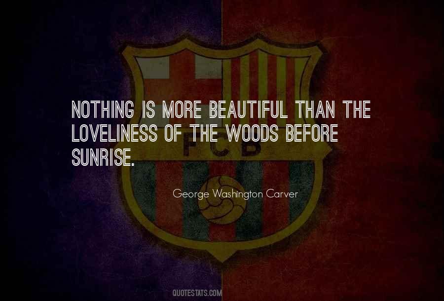 Ster Quotes #372648