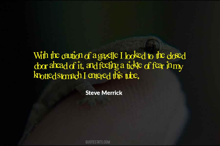 Steve's Quotes #10679