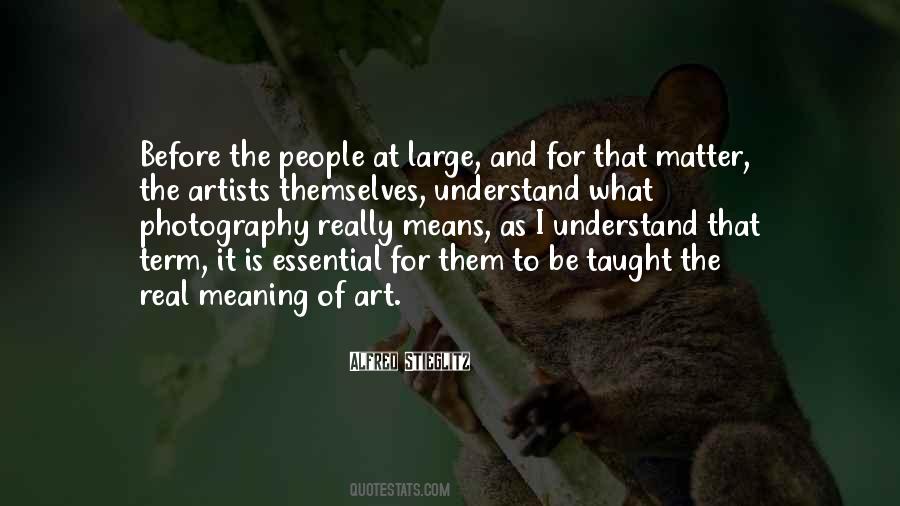 Stieglitz's Quotes #1299219
