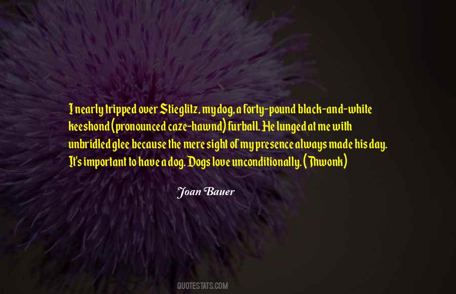 Stieglitz's Quotes #1805410