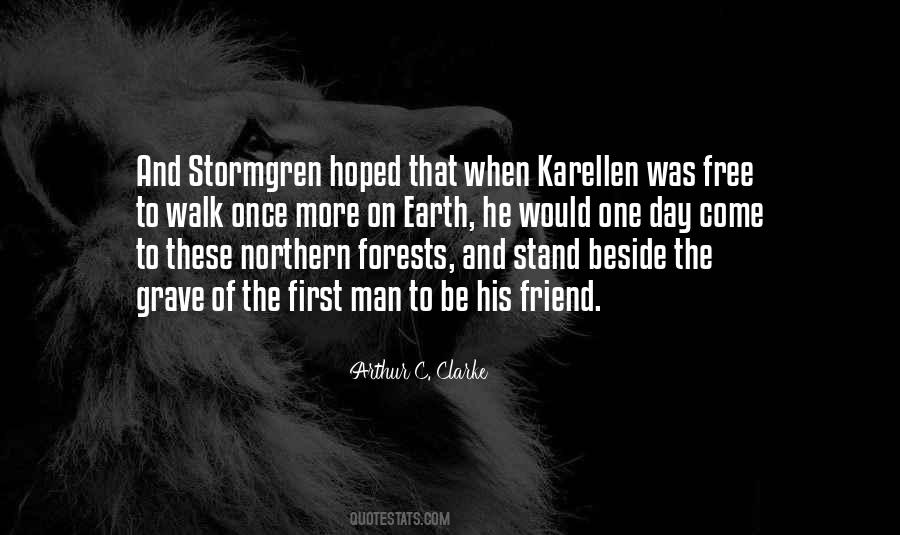 Stormgren Quotes #1658649