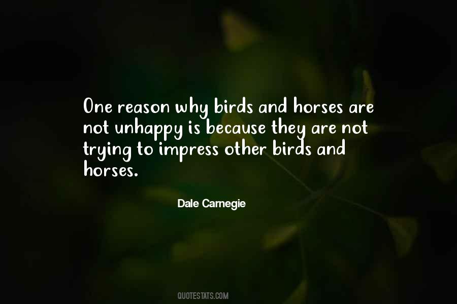 Stormgren Quotes #915817
