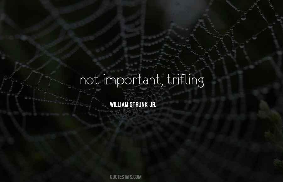 Strunk's Quotes #738603