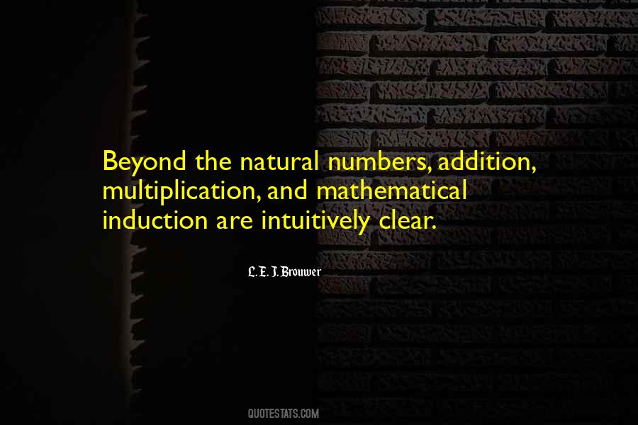 Quotes About Mathematical Induction #1000704