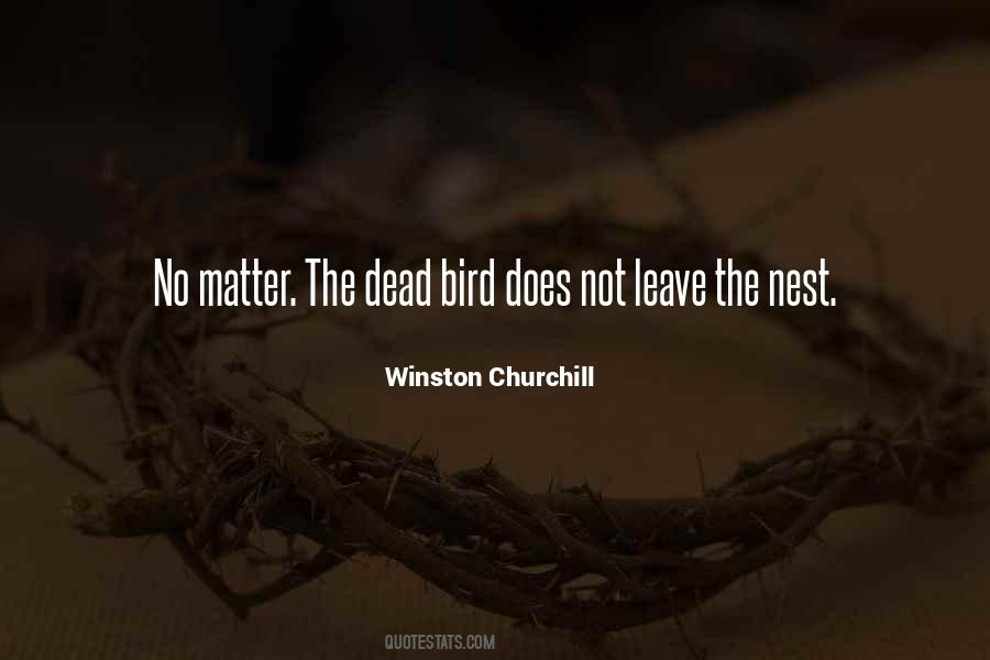 Quotes About Bird Nests #1819323