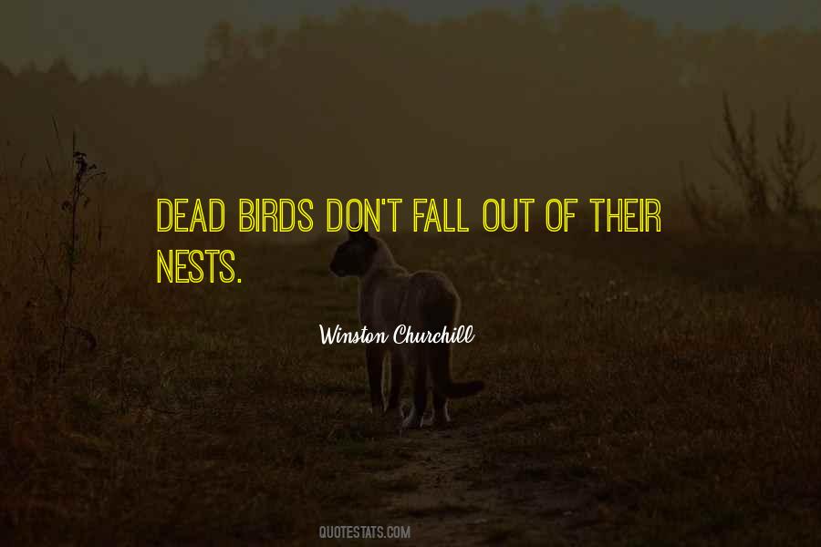 Quotes About Bird Nests #372868