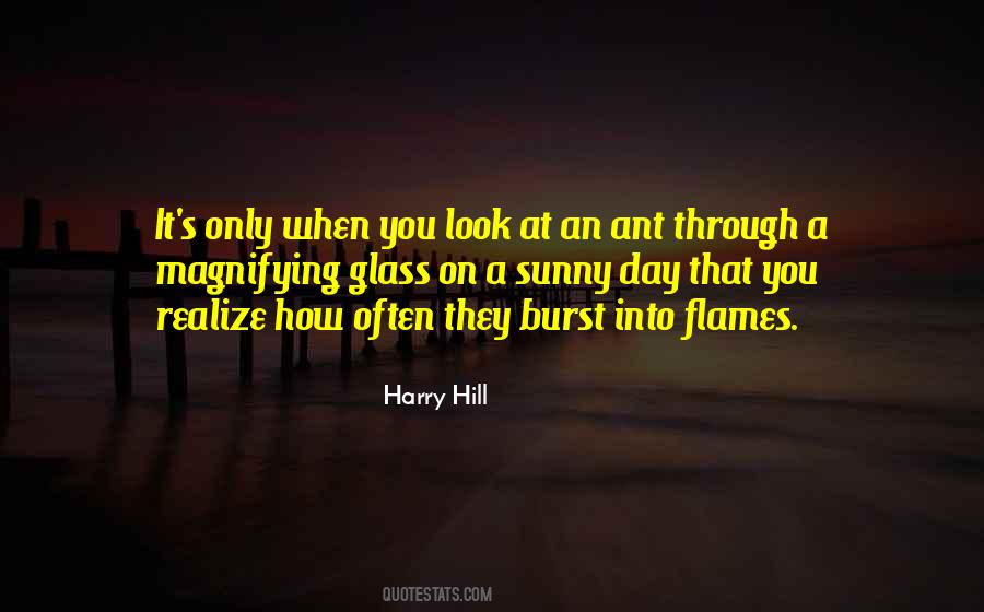 Sunny's Quotes #689275