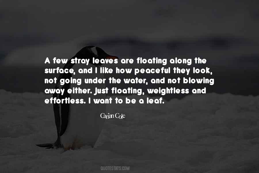 Quotes About Going Away #31522 Quotes About Going Away #31522