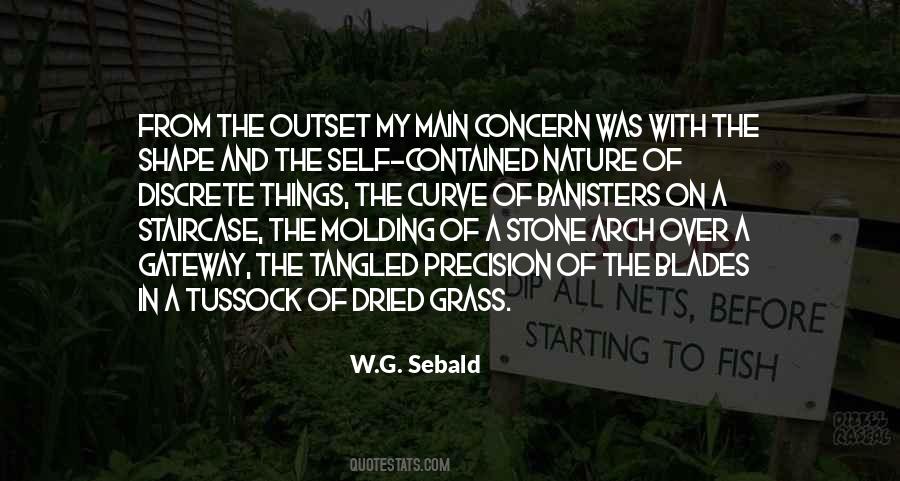 Supernormal Quotes #1557401