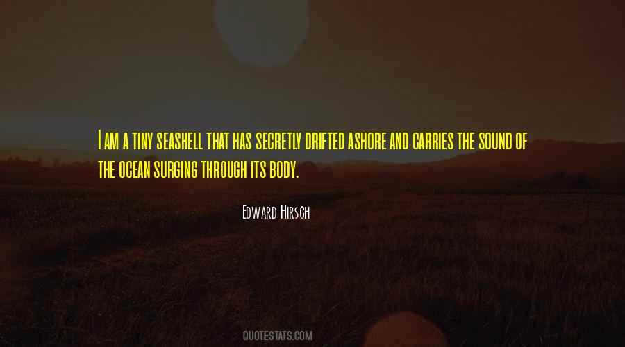 Superstorm Quotes #1353533