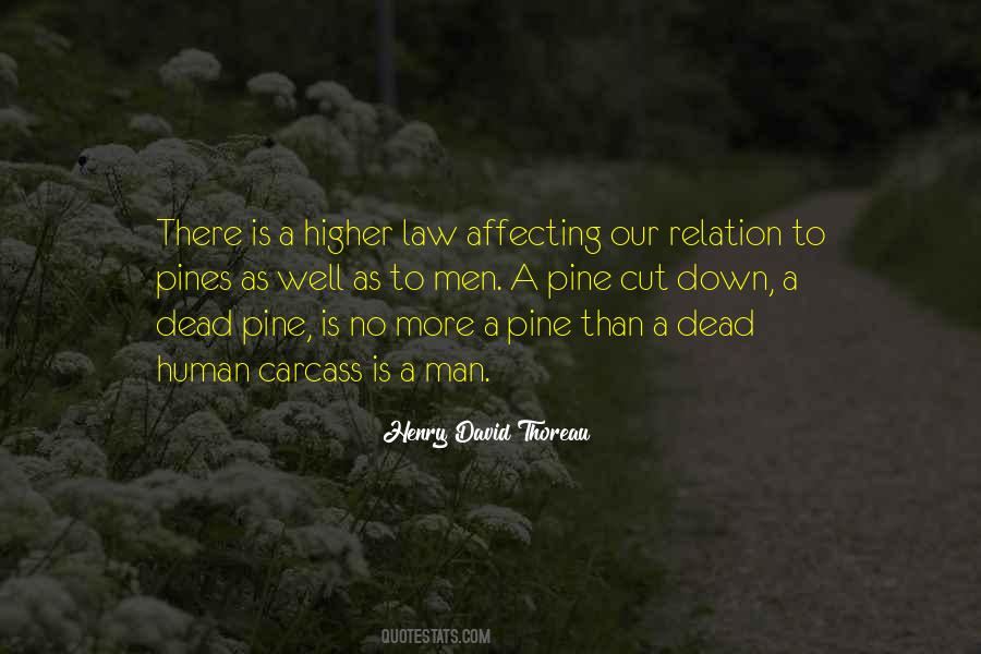 Quotes About Nature Thoreau #31033