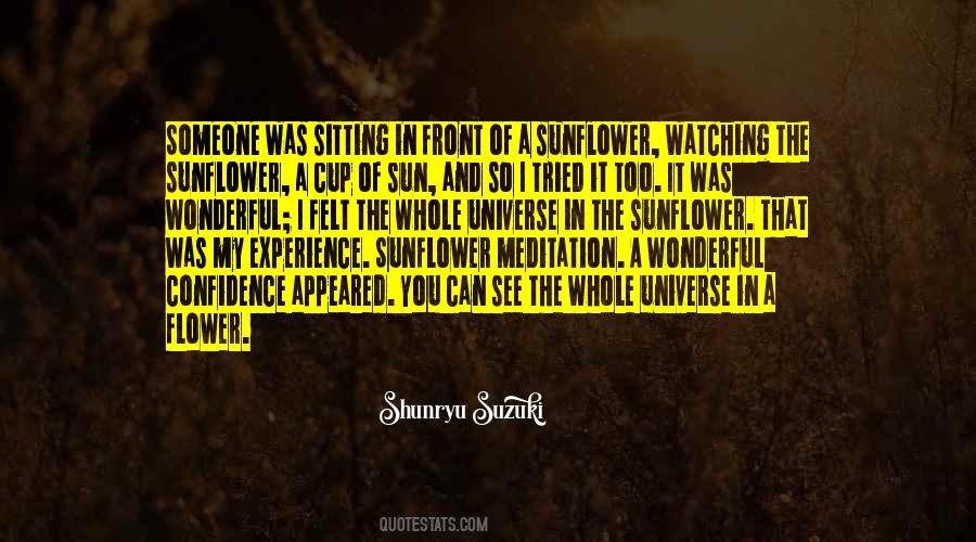 Quotes About Sitting In The Sun #1815907