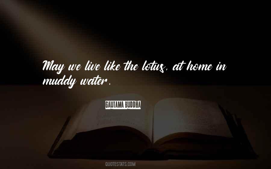 Quotes About Muddy Water #991441