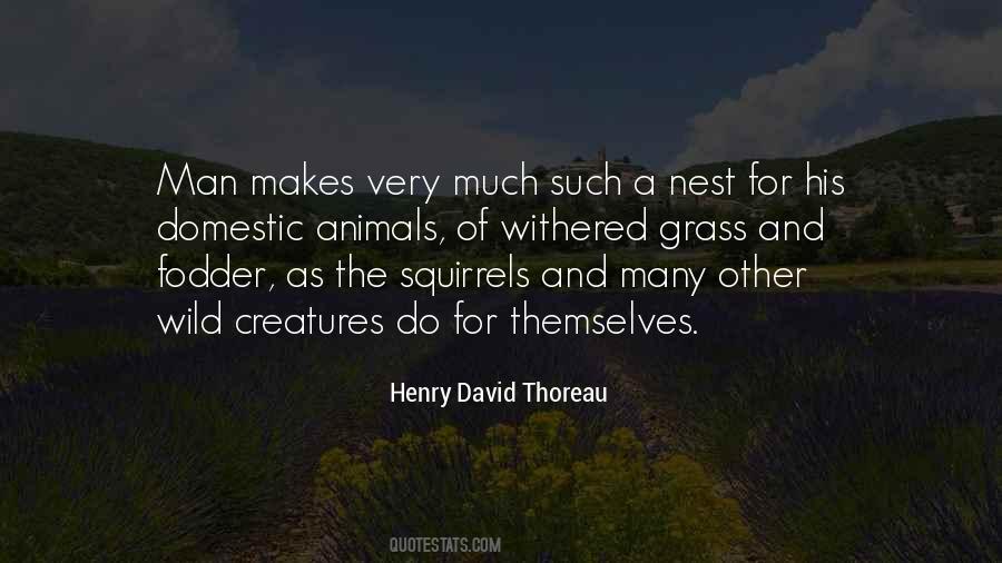 Quotes About Wild Creatures #1871939