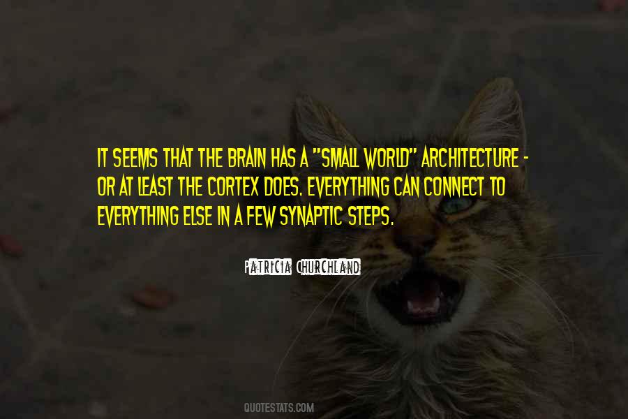 Synaptic Quotes #1558123