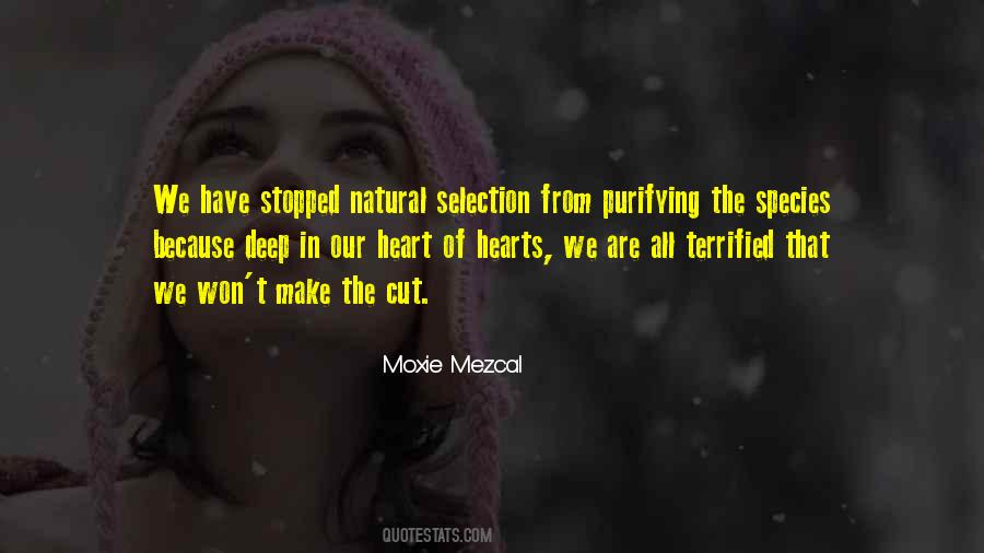 T'make Quotes #1725902