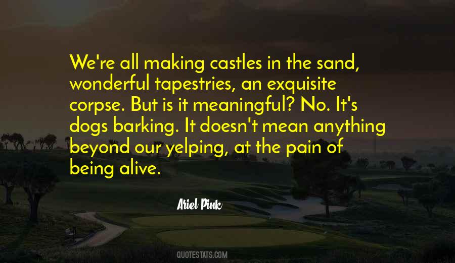 Quotes About Castles In The Sand #152476