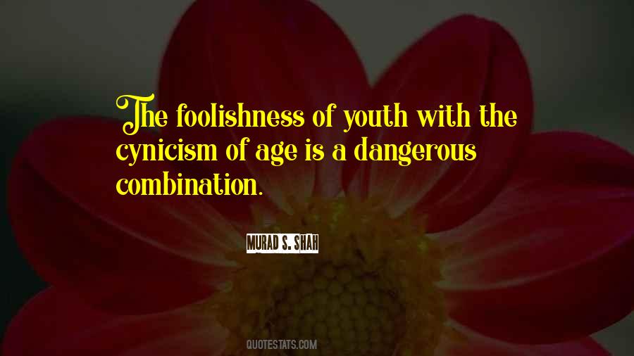 Quotes About The Foolishness Of Youth #553432