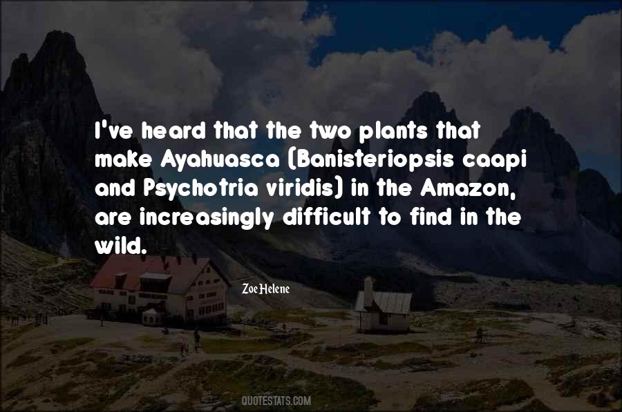 Quotes About Ayahuasca #1867541