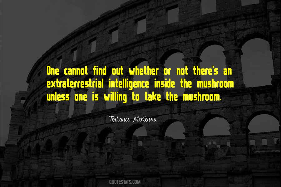 Terrance Quotes #297036