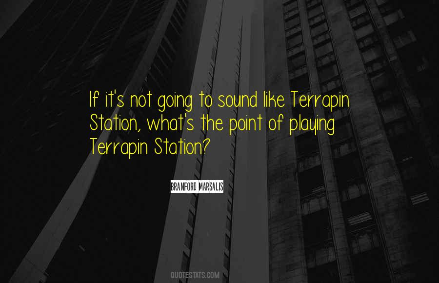 Terrapin Quotes #761615