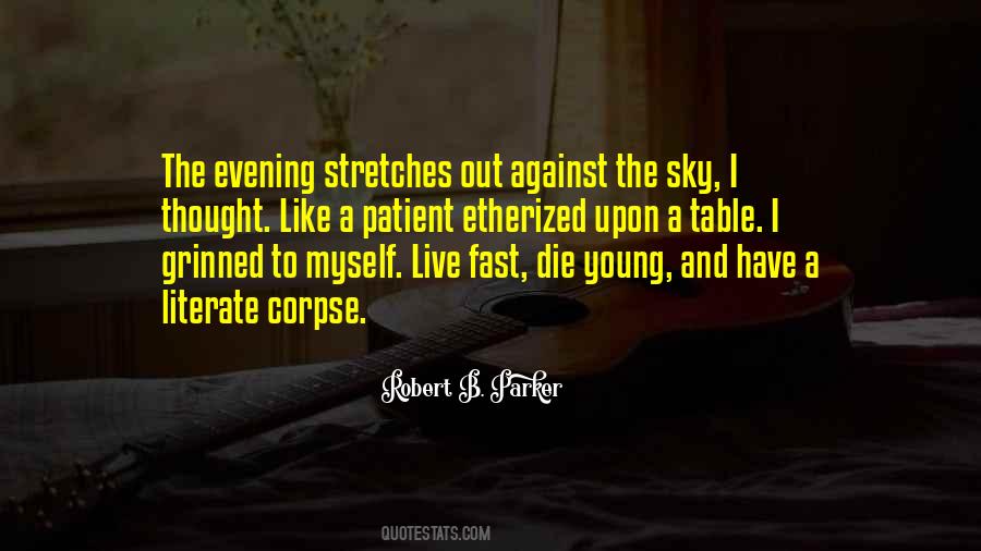 Quotes About The Evening Sky #975697