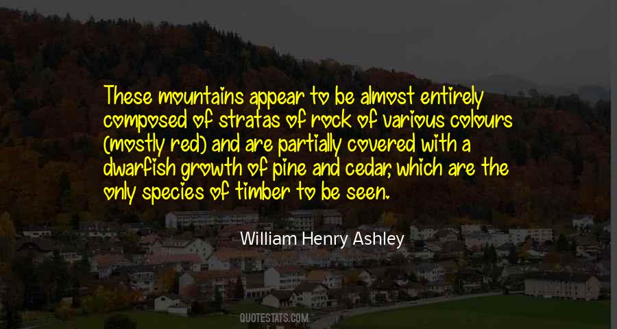 Timber'd Quotes #1820012 Timber'd Quotes #1820012