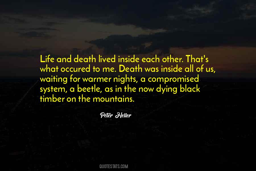 Timber'd Quotes #339096 Timber'd Quotes #339096