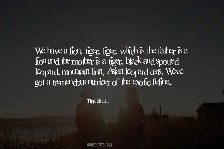 Tippi Quotes #107582