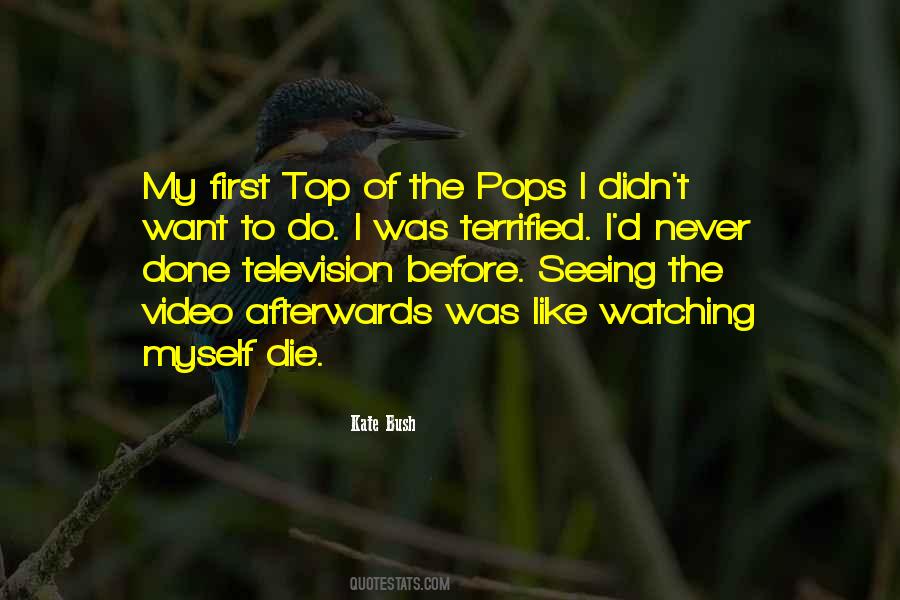 Quotes About Watching Too Much Television #162766