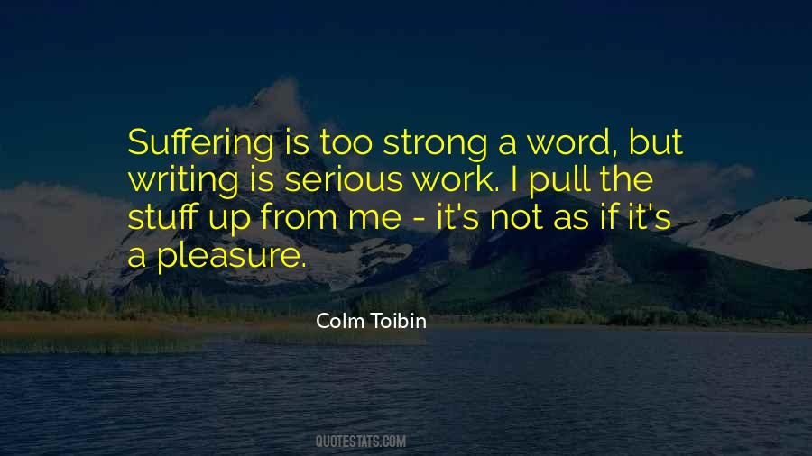 Toibin Quotes #891493