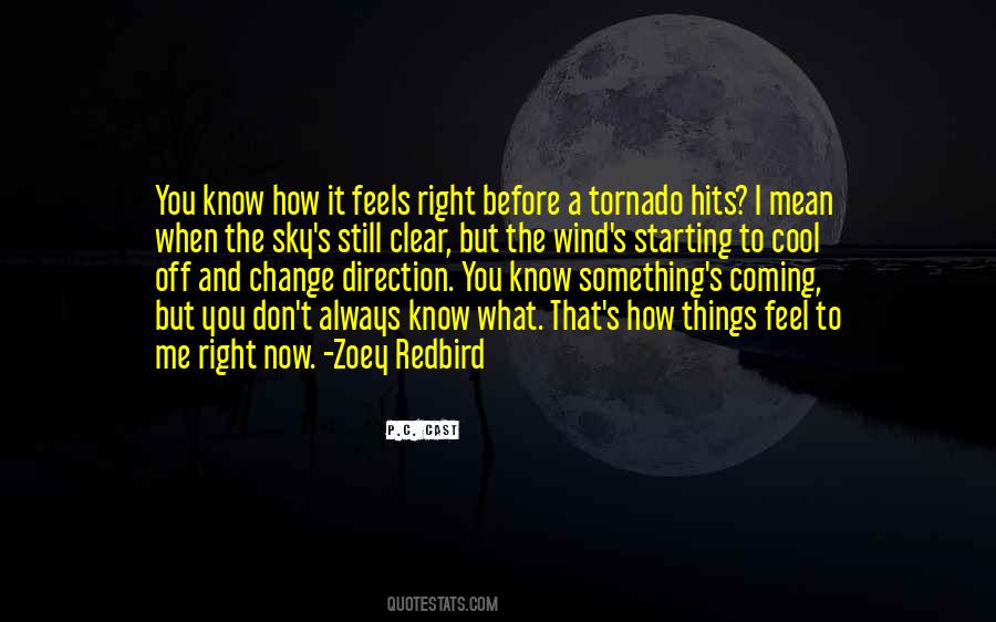 Tornado's Quotes #1415538