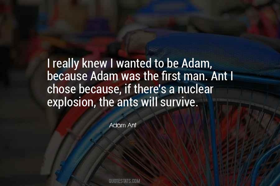 Quotes About I Will Survive #277062