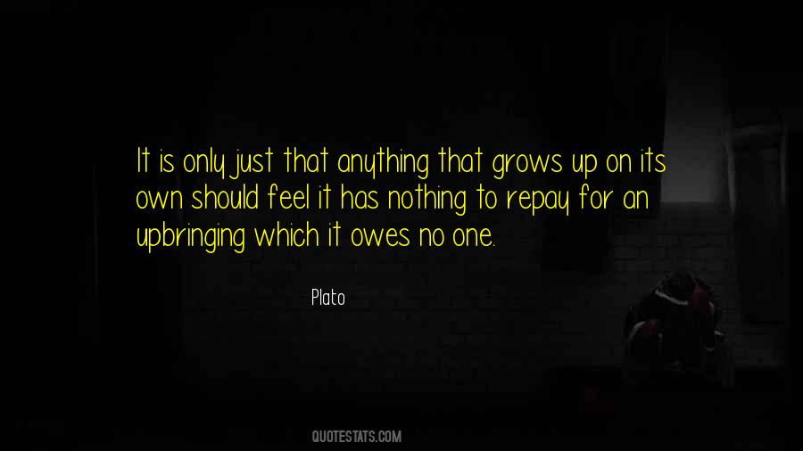Quotes About No One Owes You Anything #1536217