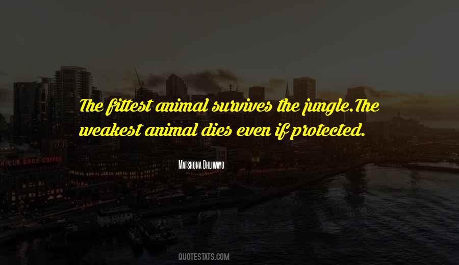 Quotes About Survival Of The Fittest #1678937