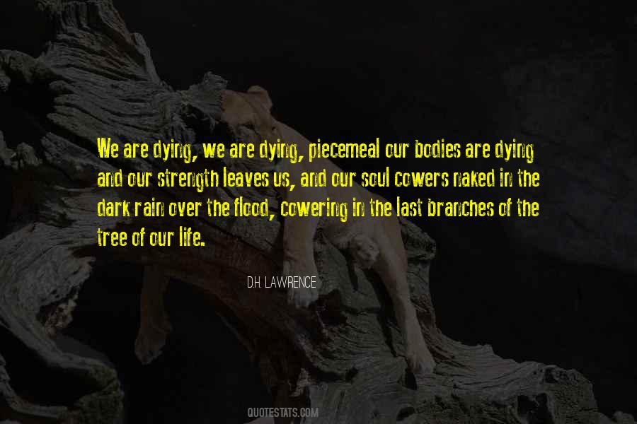 Tree'd Quotes #1026355