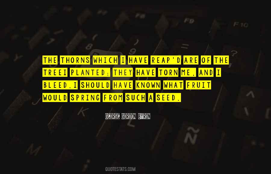 Tree'd Quotes #107307