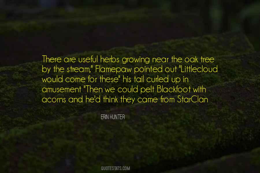 Tree'd Quotes #1102205