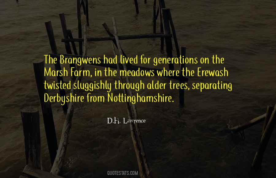 Tree'd Quotes #1186003