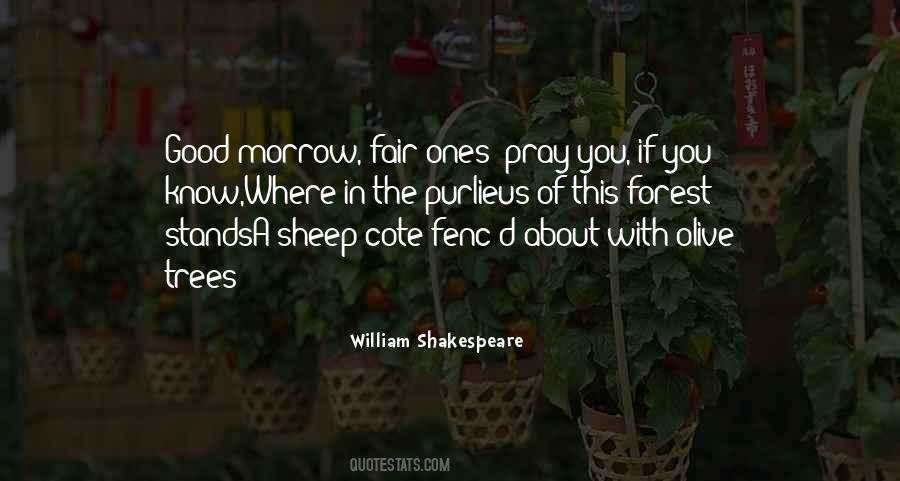 Tree'd Quotes #578464