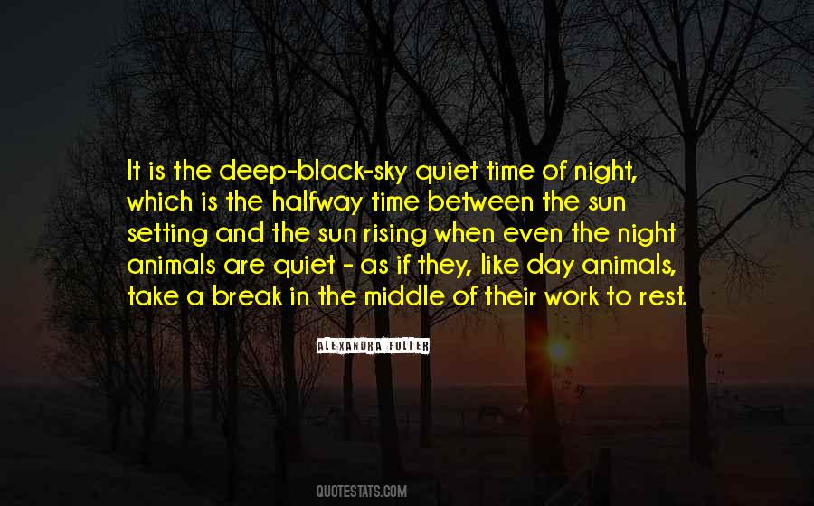 Quotes About Night Work #166366