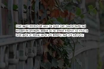 Tthe Quotes