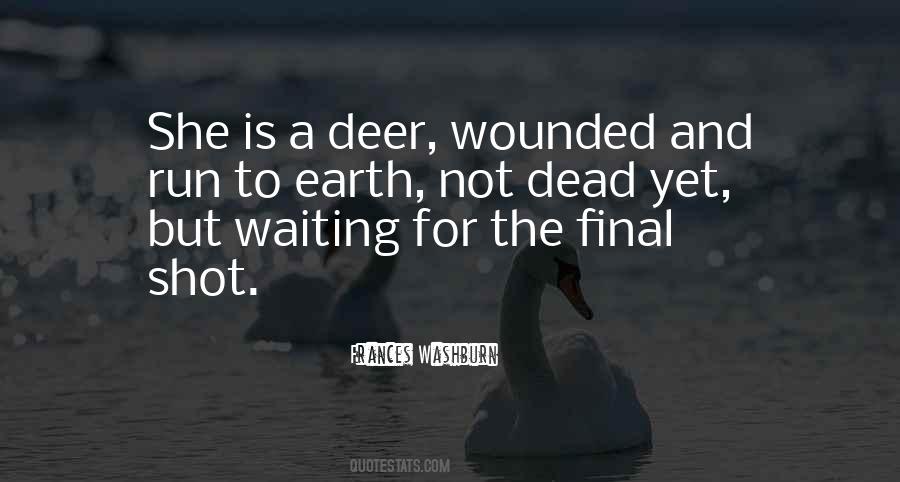 Quotes About A Deer #10338