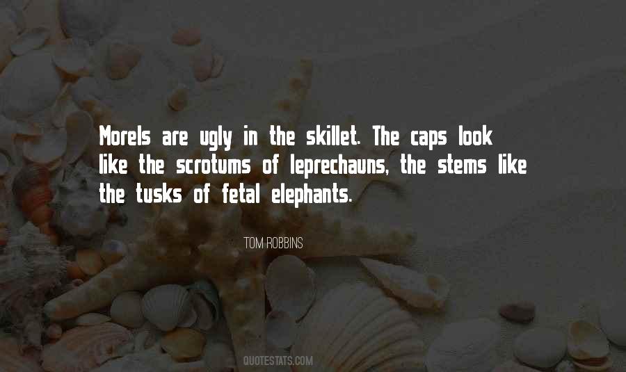 Tusks Quotes #241801