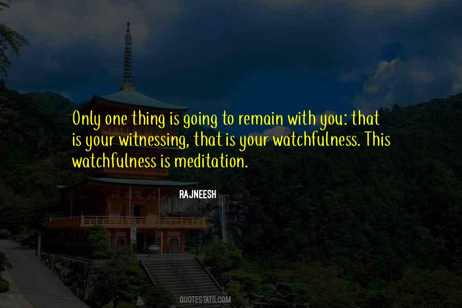 Quotes About Witnessing #1153369