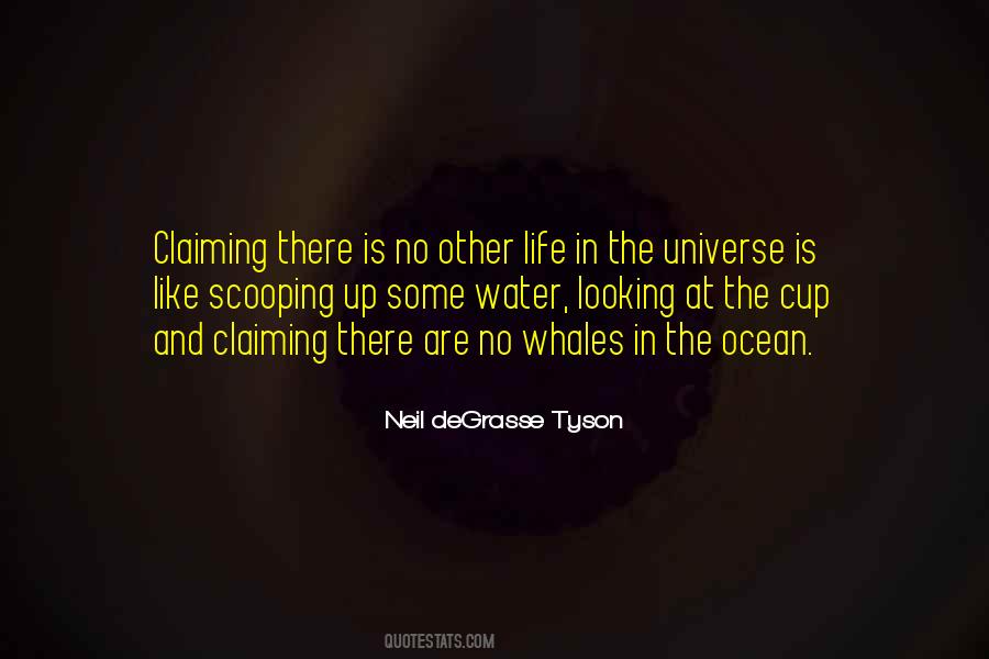 Quotes About Life In The Universe #888777