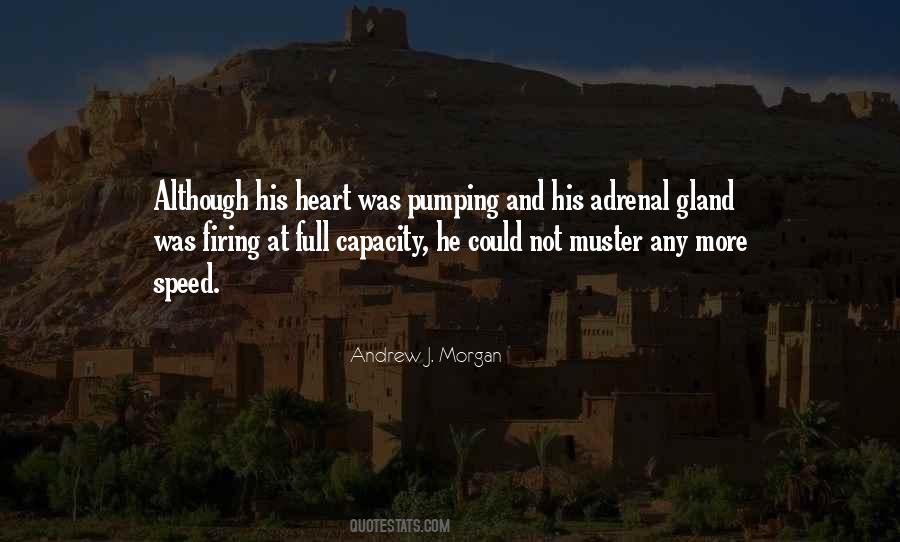Unborrowed Quotes #423064
