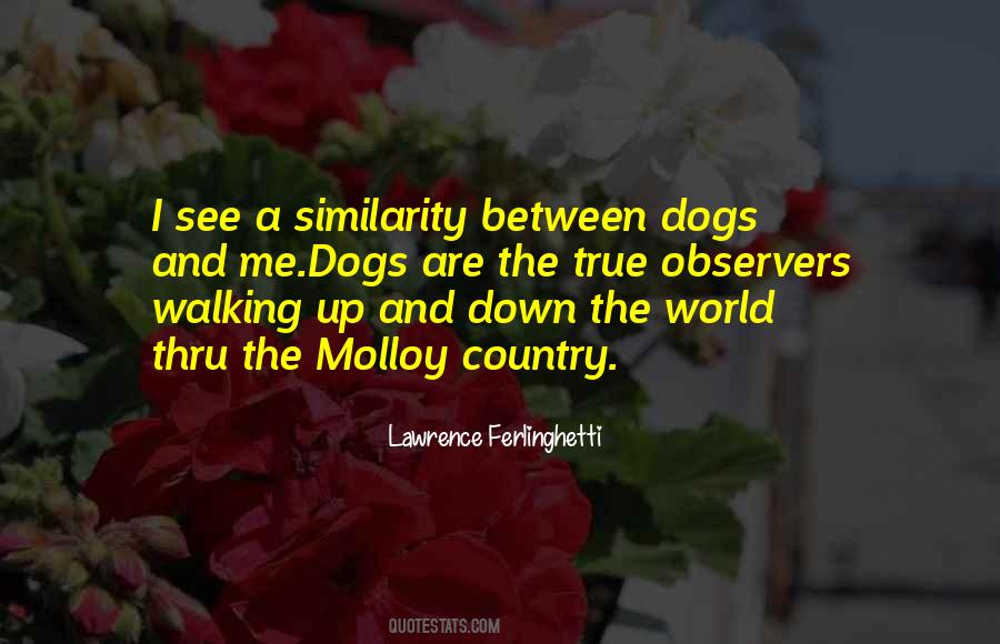 Quotes About Similarity #1237943