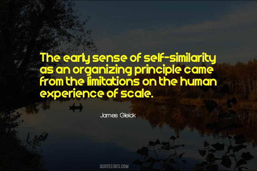 Quotes About Similarity #597099