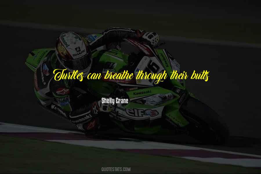 Undelible Quotes #668551
